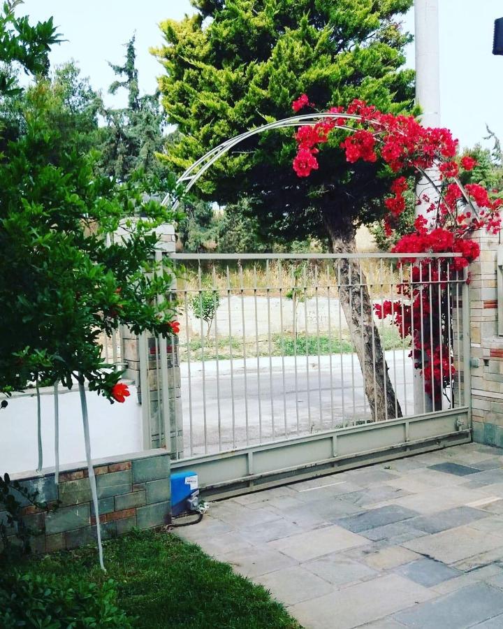 Fantastic Villa, A 5 Minute Drive From The Beach! 雅典 外观 照片