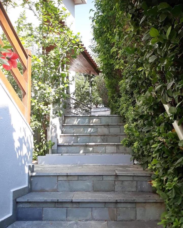 Fantastic Villa, A 5 Minute Drive From The Beach! 雅典 外观 照片